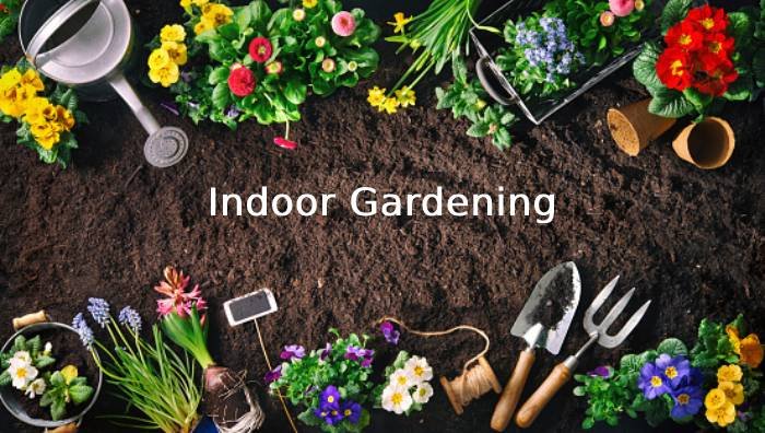 Apartment Interior Gardening | Concepts Architects & Interior